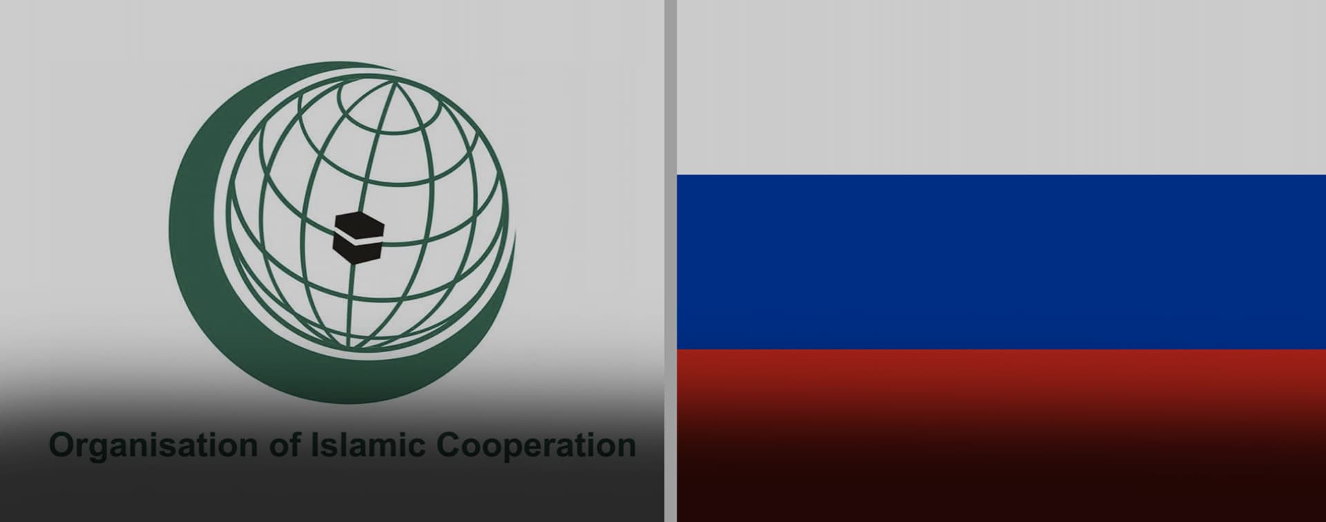 Россия и ОИС: 15 лет вместе (видеоконференция)