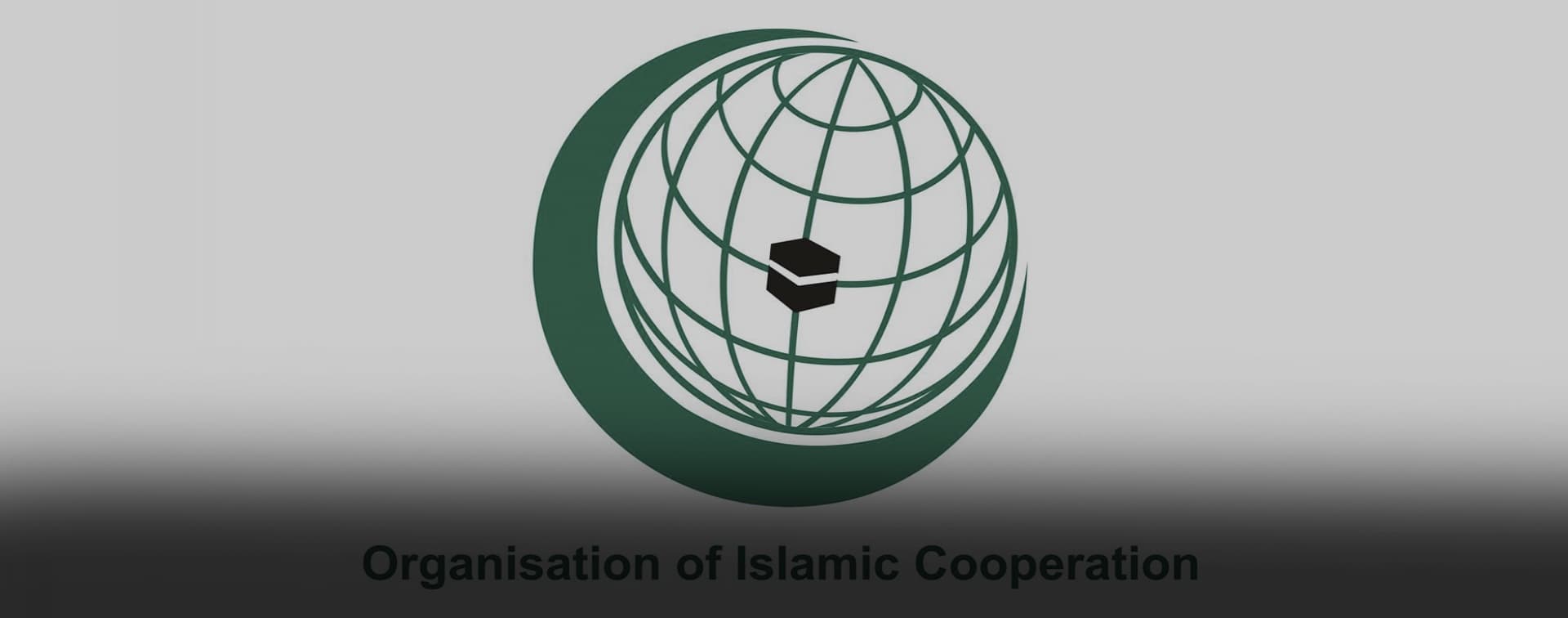 Агентство инвестиционного развития РТ анонсировало серию интервью с послами стран ОИС