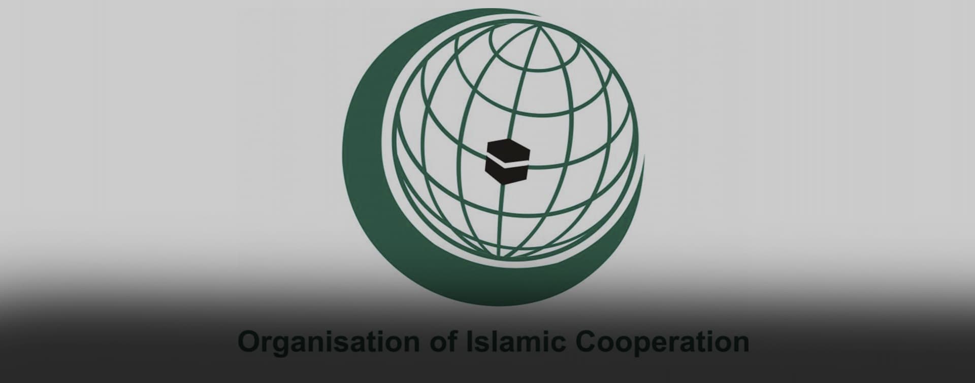 В Казани стартовал образовательный модуль, посвящённый взаимоотношениям России и ОИС