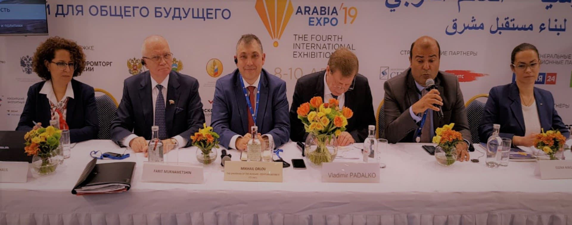 Фарит Мухаметшин выступил на заседании Российско-Египетского Делового Совета