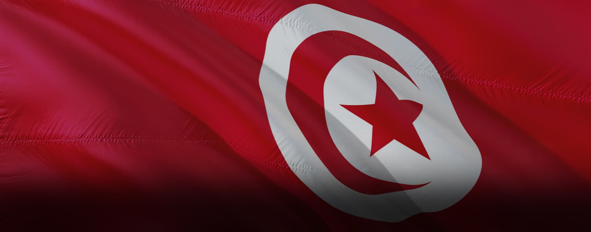 В Татарстане может появиться торговое представительство Тунисской Республики