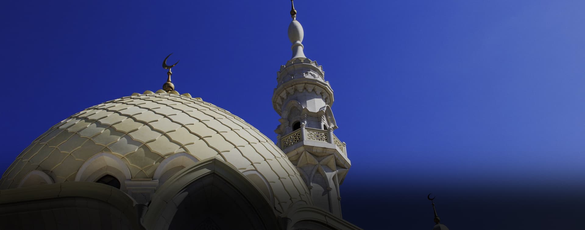 Завершен прием заявок на конкурс видеороликов Ежегодной международной летней школы "Болгарский диалог культур - 2020"