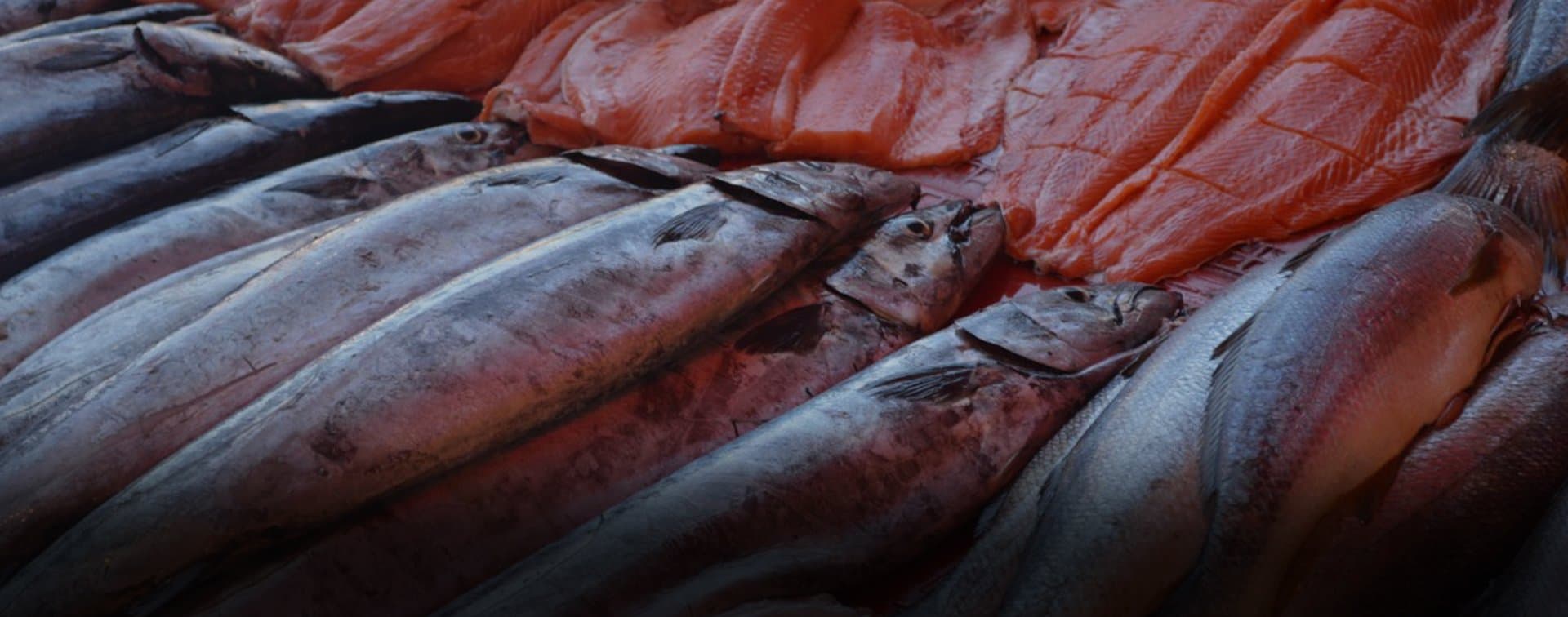 Россия получила право на экспорт рыбы и морепродуктов в Египет