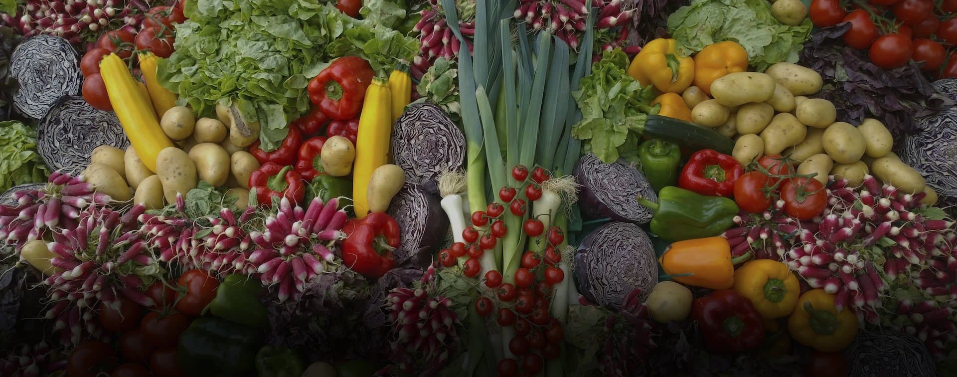 Крупнейший на Ближнем Востоке тепличный комбинат экспортирует 90% продукции в РФ