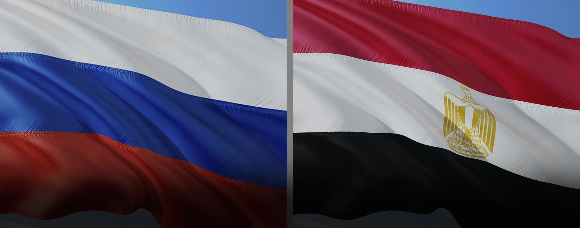 Россия и Египет договорились о координации на международных площадках