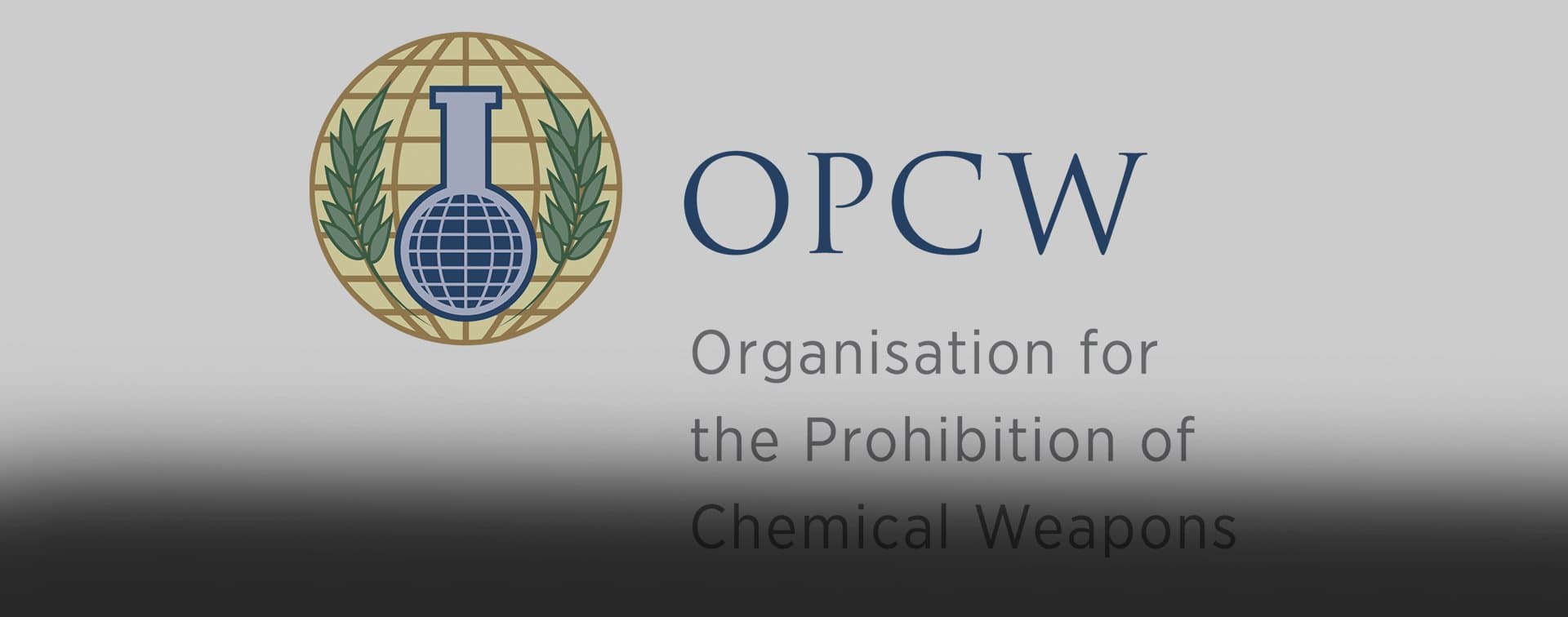 МИД РФ: репутацию ОЗХО принесли в жертву амбициям США