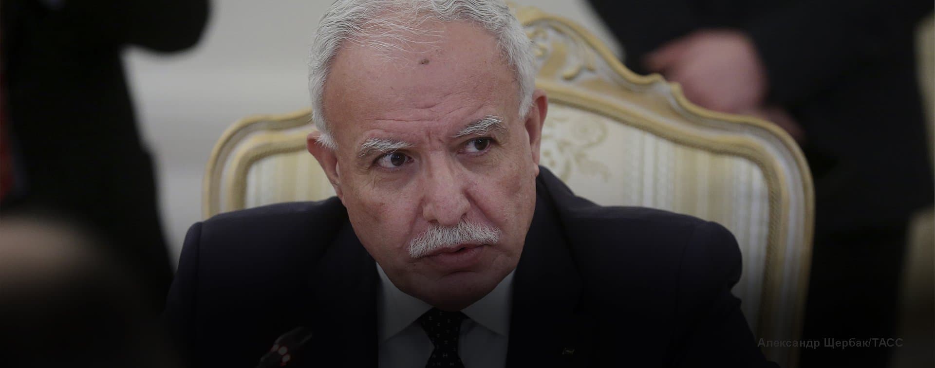 МИД Палестины сообщило о подготовке визита Путина и Аббаса