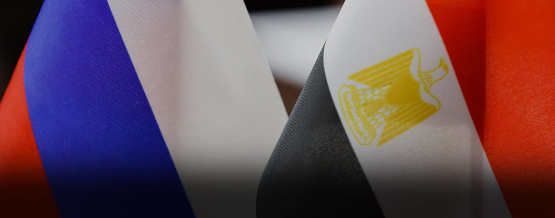 Дипломаты России и Египта обменялись оценками состояния террористических угроз