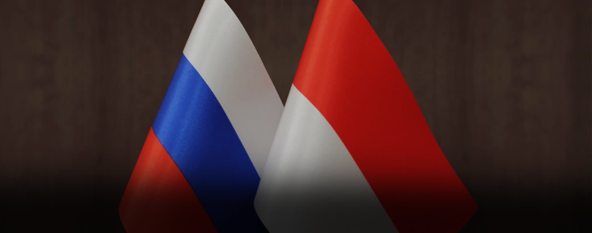 Индонезия выразила интерес к сотрудничеству с Россией в фармацевтике и кораблестроении