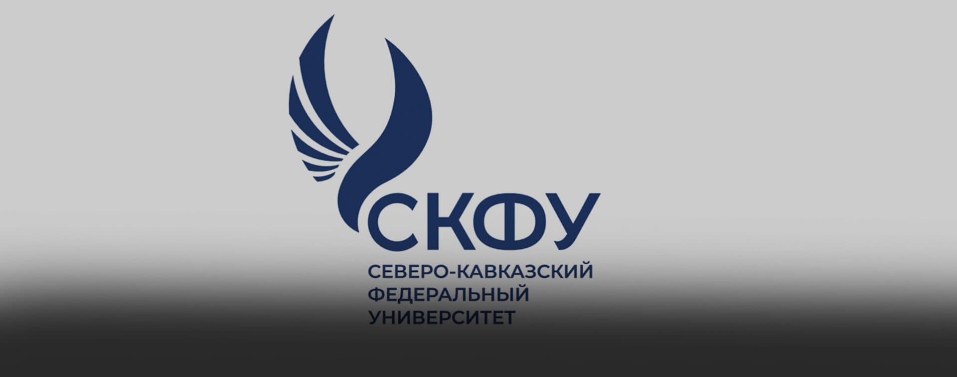 В СКФУ в 2022 году впервые начнут изучать арабский, турецкий и китайский языки