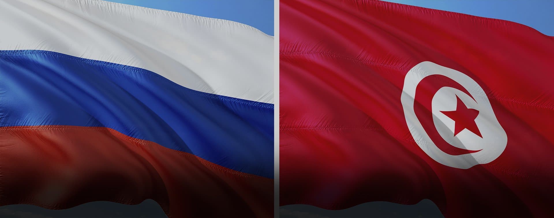 Замминистра иностранных дел России провел встречу с тунисской делегацией