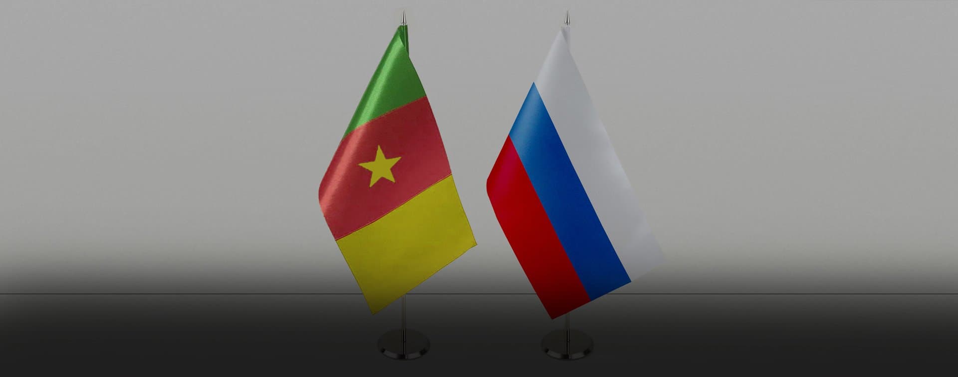 В Камеруне хотят укрепить военное партнерство с Россией