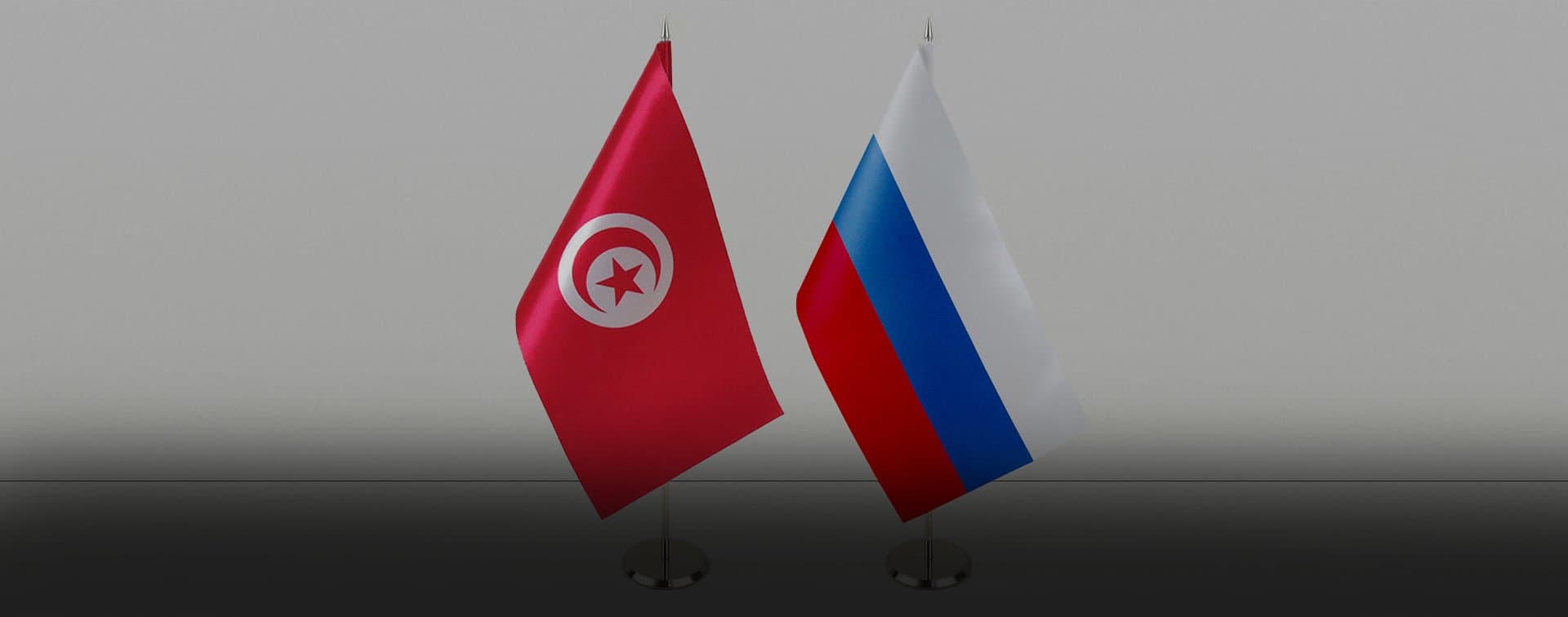 Тунис намерен развивать отношения с РФ по всем направлениям