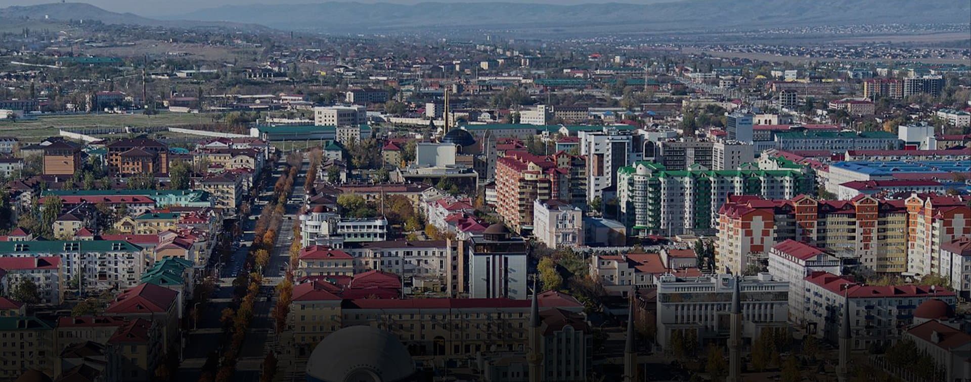Беженцы из Палестины могут быть трудоустроены на автопредприятия Чечни