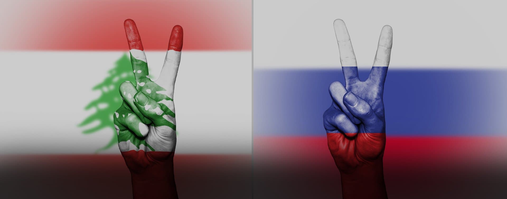 Богданов провел встречу с председателем Ливанской демократической партии