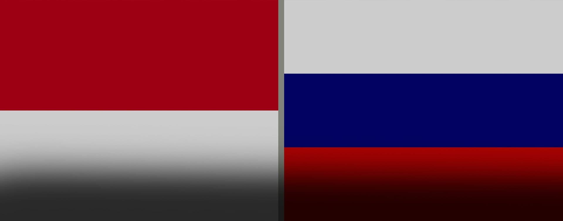 Замглавы МИД РФ встретился с экс-главой МИД Индонезии