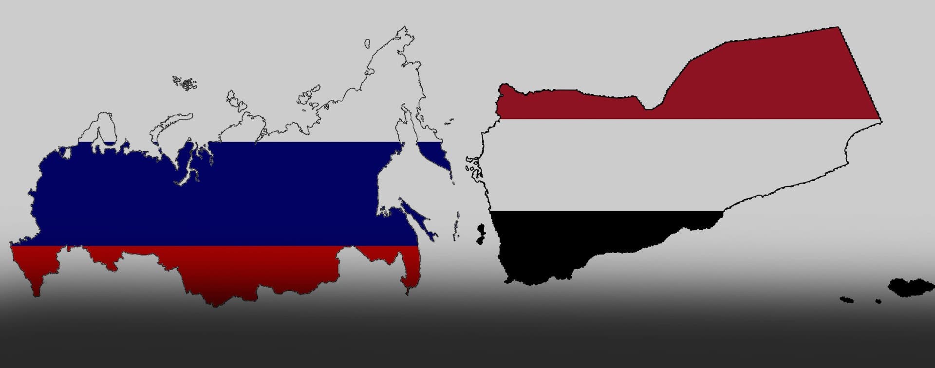 Россия и Йемен обсудили актуальные вопросы двухстороннего сотрудничества