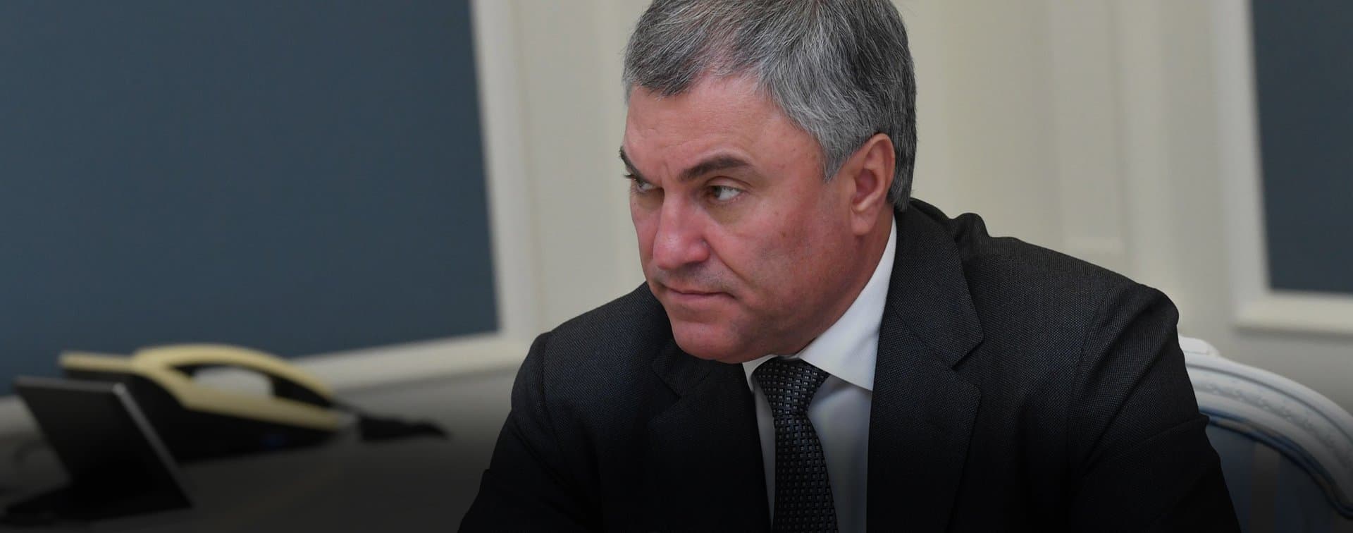 Володин встретился с председателем Сената Федерального парламента Сомали