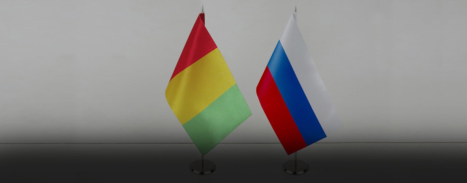 Посол в Москве: Гвинея готова укреплять военное сотрудничество с Россией