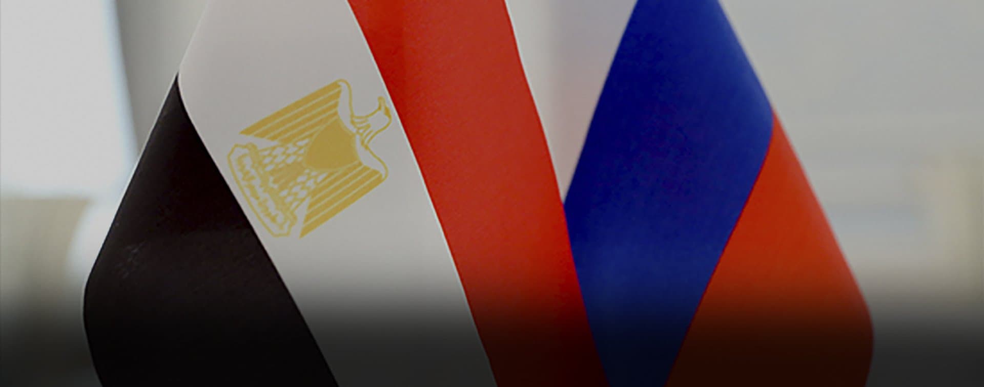 Россия и Египет условились об укреплении сотрудничества по ряду направлений