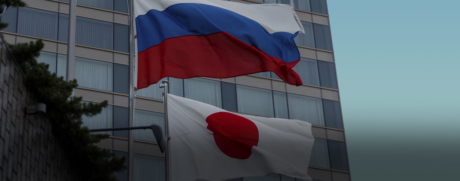 В МИД РФ сообщили о позитивной динамике в российско-японском диалоге