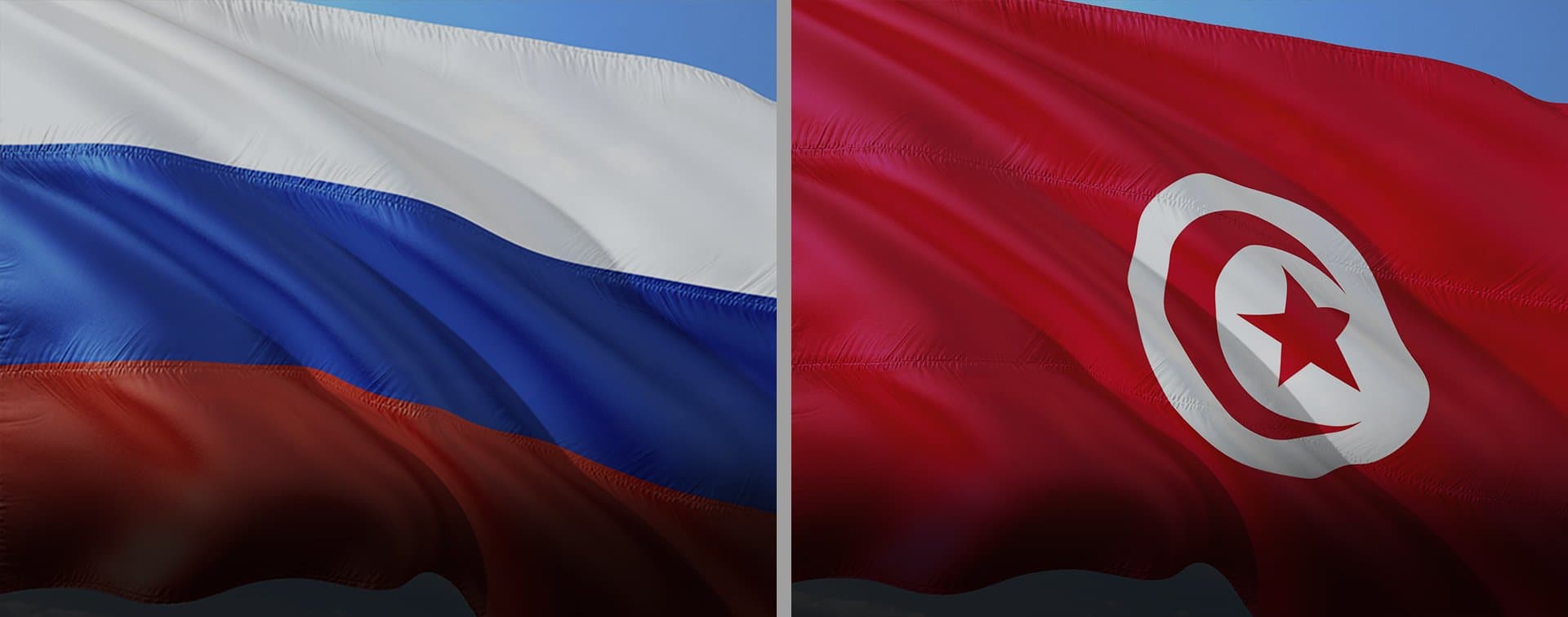 Главы МИД России и Туниса обсудили сотрудничество двух стран
