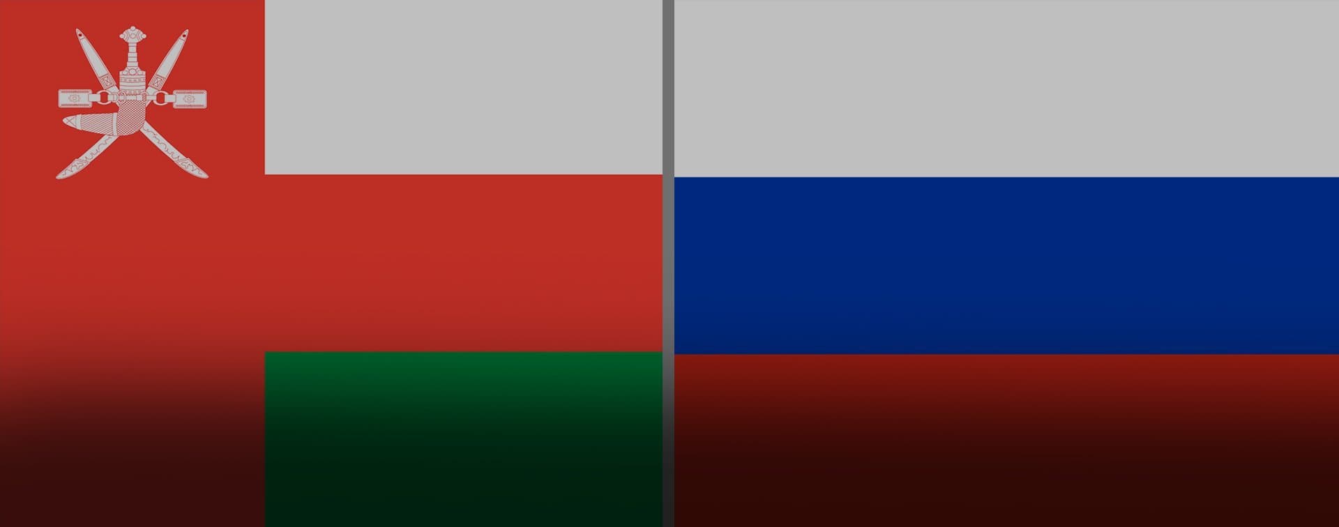 Россия и Оман условились продолжать политический диалог
