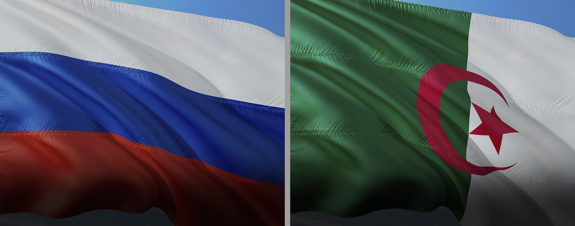 Президенты РФ и Алжира подтвердили настрой на координацию по ОПЕК+ и в борьбе с пандемией